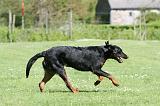 BEAUCERON 832